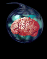 brainbeats.gif