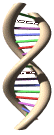 dna23.gif