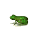 frog2.gif