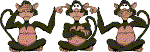 monkey.gif